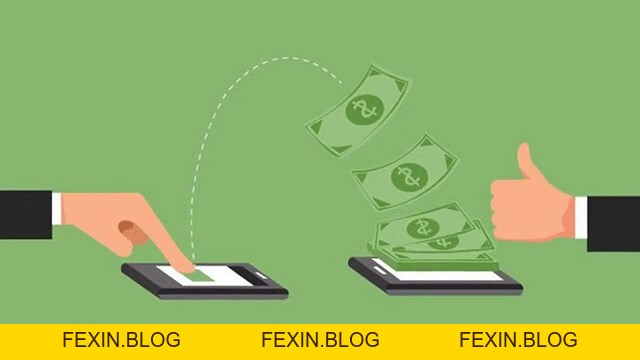 Cầu Lông Vũ: Hướng Dẫn Chọn Và Bảo Quản Chuẩn Cho Người Chơi - FEXIN