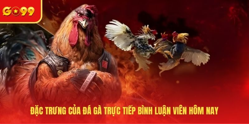 Trải Nghiệm Đá Gà Trực Tiếp Bình Luận Viên Hôm Nay Tại GO99 - FEXIN